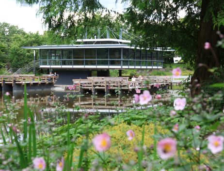Das japanische Teehaus in Planten un Blomen