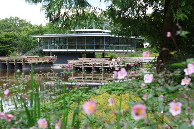 Das japanische Teehaus in Planten un Blomen