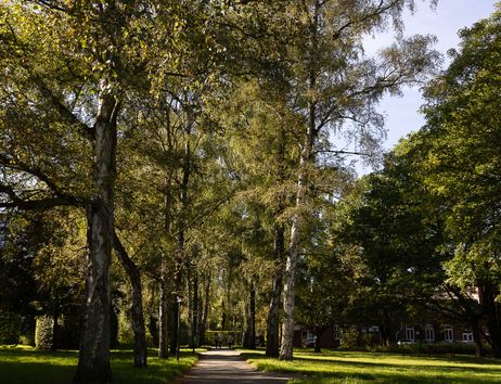 Park der Stiftung Anscharhöhe
