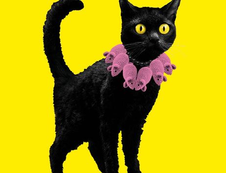 Das Plakatmotiv "KATZEN!" zeigt eine schwarze Katze mit strubbeligem Fell. Um den Hals trägt sie eine Kette aus gehäkelten rosa Mäusen.