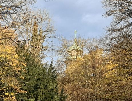 Herbstwald beim GSI