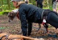 Fit mit Hund - Tanja Petrick