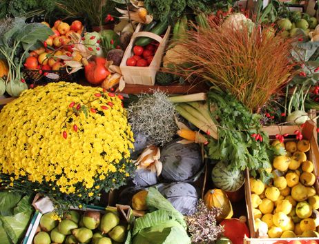 Verschiedene Obst- und Gemüsesorten sowie Blumen sind dekorativ angeordnet.