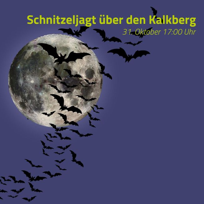 A mysterious woman in a black and red dress stands in front of a purple background with flying bats. The text announces a vampire tour on October 31 at 5:00 p.m.