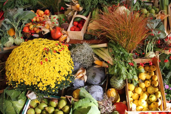 Verschiedene Obst- und Gemüsesorten sowie Blumen sind dekorativ angeordnet.