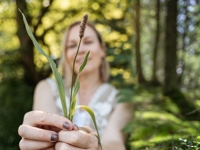 Frau entdeckt heimische Wildkräuter im Wald
