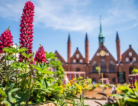 Blumen im Vordergrund mit einem historischen Gebäude im Hintergrund in Lübeck.