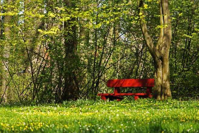 Wald