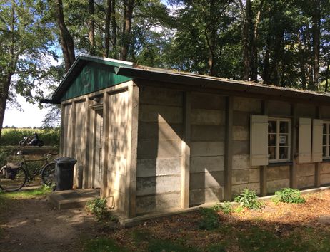 Eine Hütte im im Wald mit grünem Dach, im Hintergrund eine Landstraße