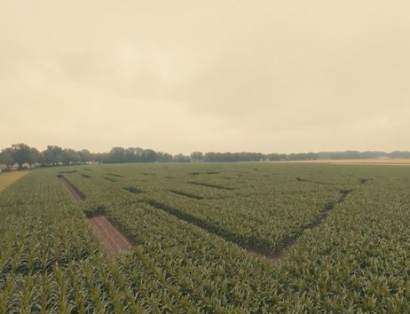 Luftaufnahme eines Maislabyrinths auf einem Feld mit Bäumen im Hintergrund.