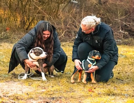 Zwei Personen hocken auf einer Wiese. Eine hält einen Hund an Brust fest, die andere einen Stoffhund.