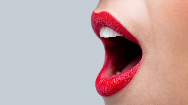 Chordates Stockphoto galerie_15