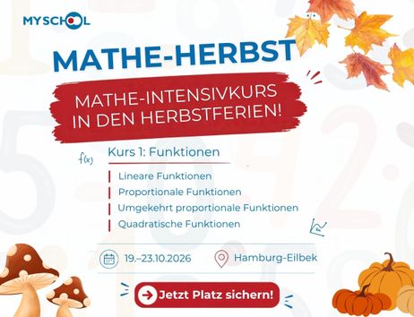 Werbemotiv von MySchool für den Mathe-Intensivkurs „Funktionen“ in den Herbstferien mit herbstlichen Blättern, Informationen zum Kurs und der Anmeldung.