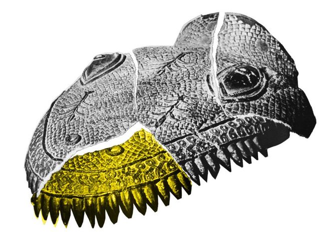 Plakatmotiv "Benin. Geraubte Geschichte"