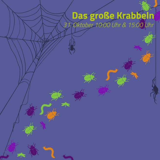 Ein farbenfrohes Halloween-Design mit Spinnen und verschiedenen krabbelnden Insekten. Der Text kündigt eine Veranstaltung am 31. Oktober an.