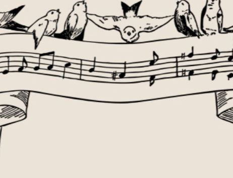 Illustration von Vögeln, die auf einem Notenband sitzen.