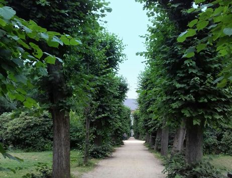 Wohlerspark im Sommer 2018