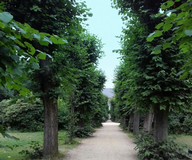 Wohlerspark im Sommer 2018