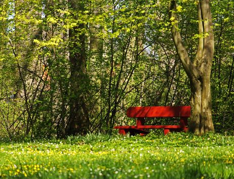 Wald