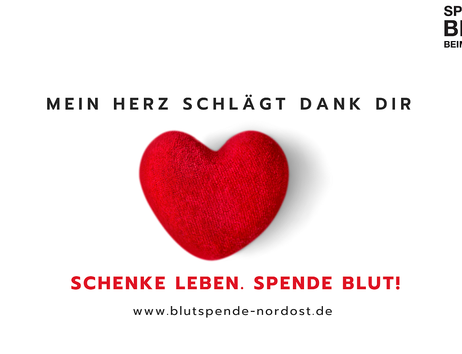 Blutspende in Fünfhausen