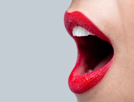 Chordates Stockphoto galerie_15