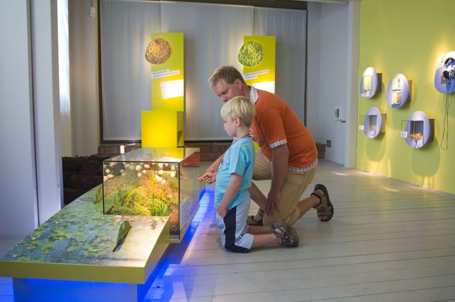 Ein Mann und ein Kind betrachten ein Diorama in einer Ausstellung über Moore.