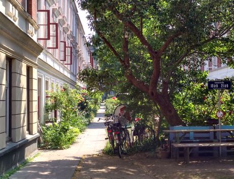 Zeilenhäuser mit grünem Garten in Hamburg