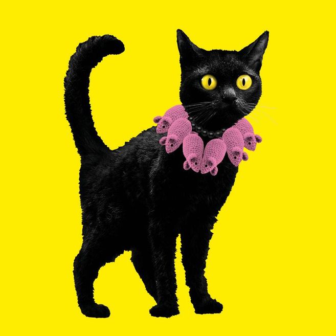 Das Plakatmotiv "KATZEN!" zeigt eine schwarze Katze mit strubbeligem Fell. Um den Hals trägt sie eine Kette aus gehäkelten rosa Mäusen.