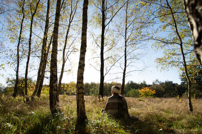 Person sitzt beim Waldbaden im Herbst zwischen Birken im Wald